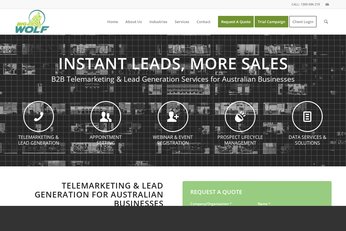 Big Wolf Marketing homepage, Brisbane B2B lead generation agency